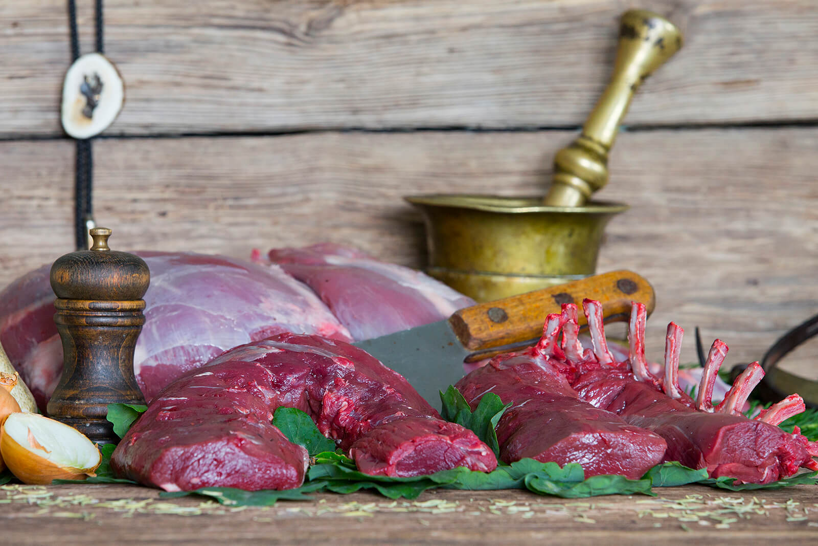 sarna comber z kością 5269